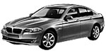 BMW F10 P1E01 Fault Code